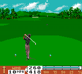 PGA Tour 96 Screenthot 2